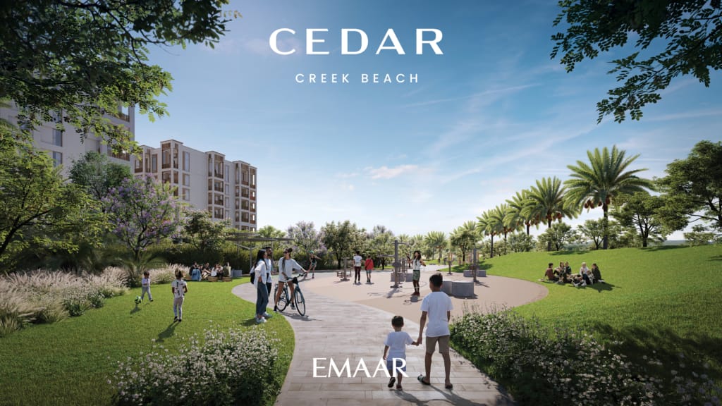 Cedar branded render3
