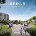 Cedar branded render3